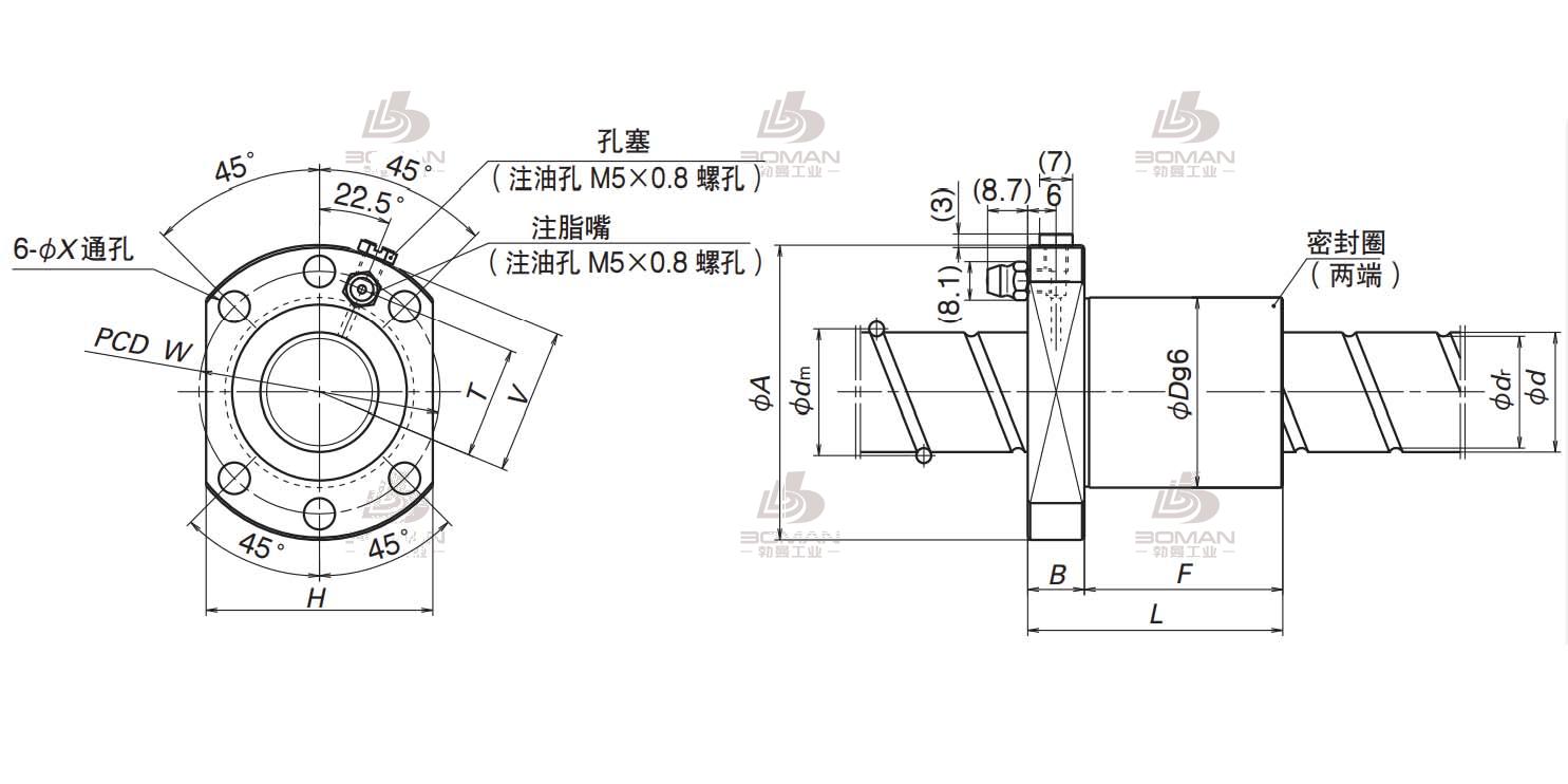 BSS2520-2E-BSS标准系列丝杠