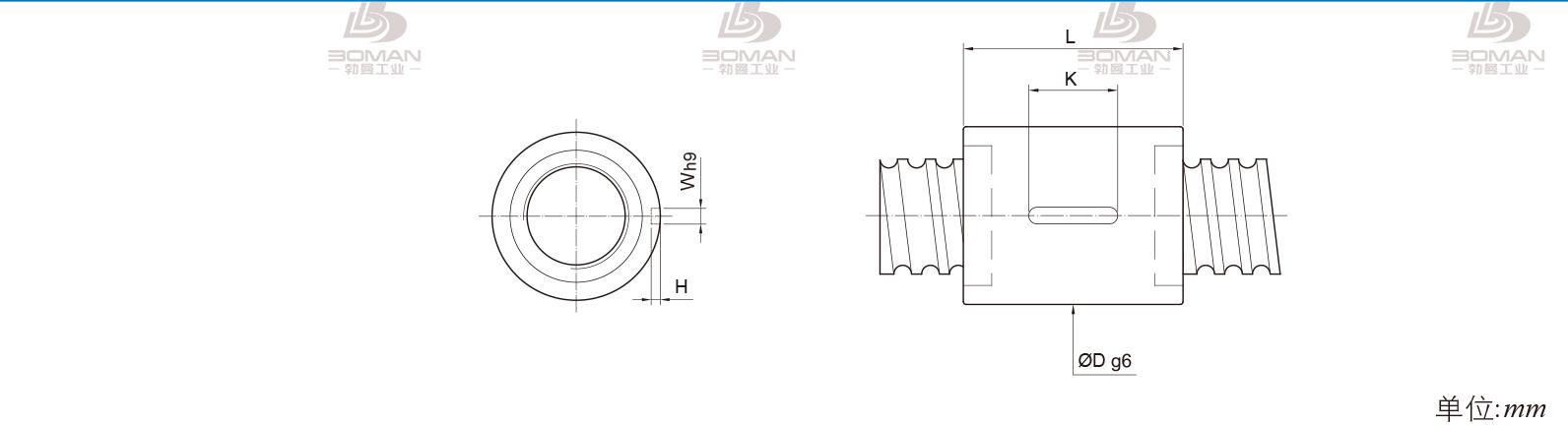 PMI RSIC10020-5 pmi滚珠丝杠